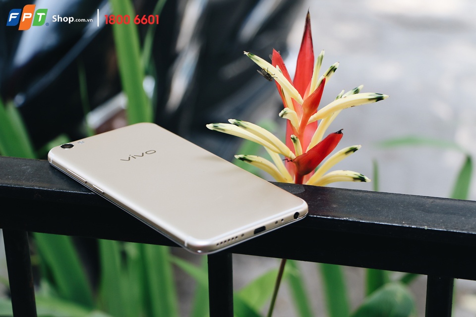 FPT Shop ảnh 3 FPT Shop anh 3