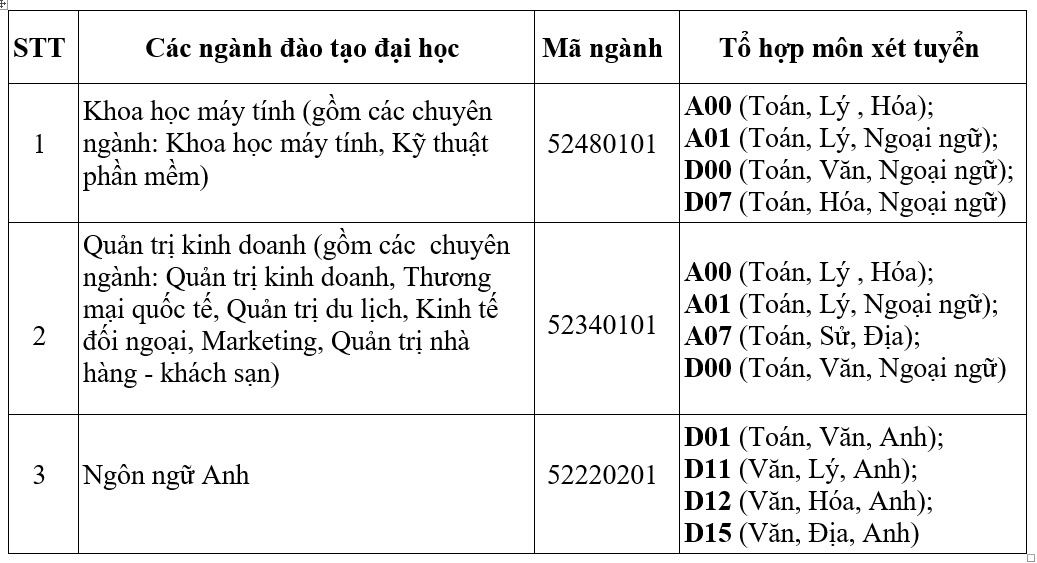 Dai hoc Quoc te Sai Gon anh 4