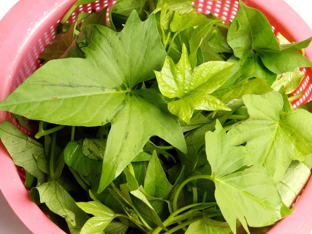 thuốc tiêu trĩ Safinar ảnh 2 thuoc tieu tri Safinar anh 2