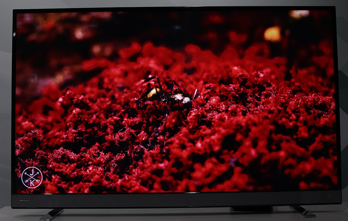 Toshiba ảnh 4 Toshiba anh 4