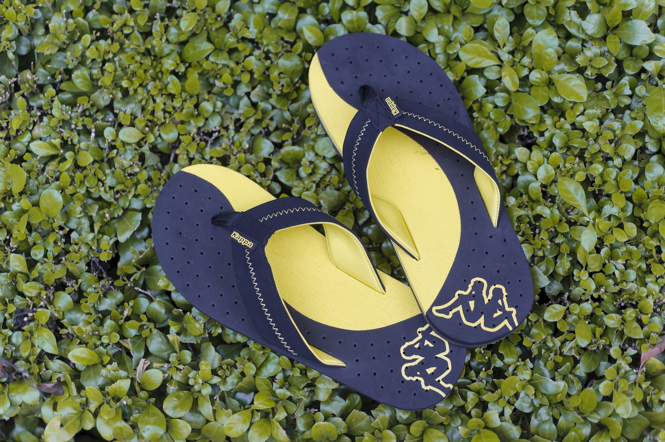 Hoang Phuc International anh 12