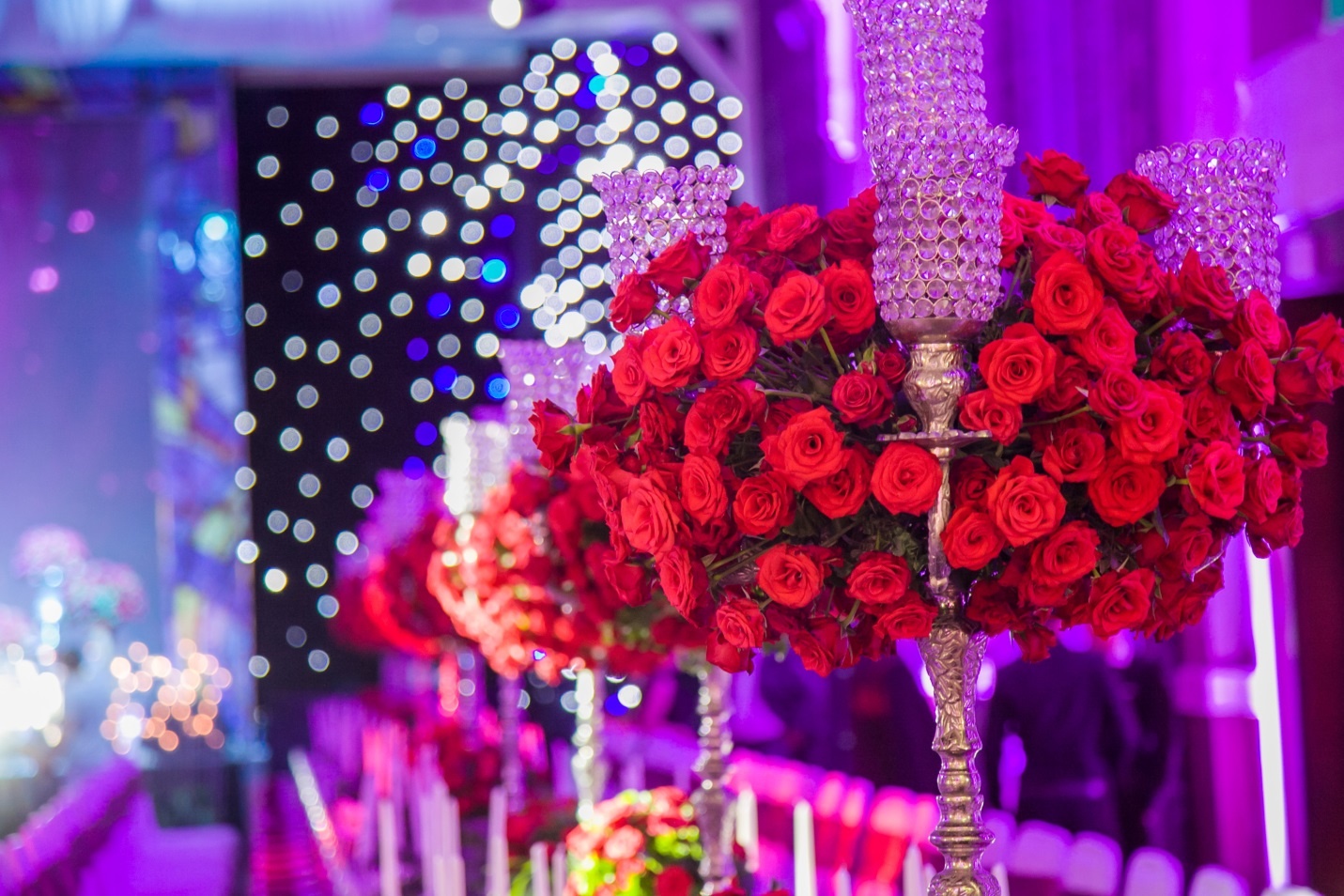 La vie en Rose anh 9