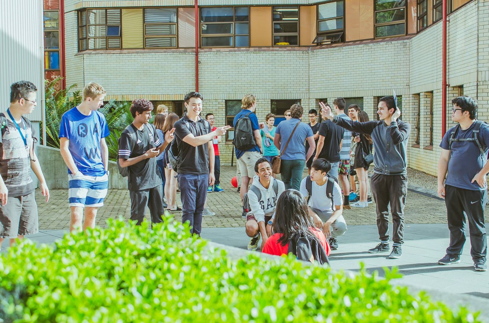 Dai hoc Auckland anh 2