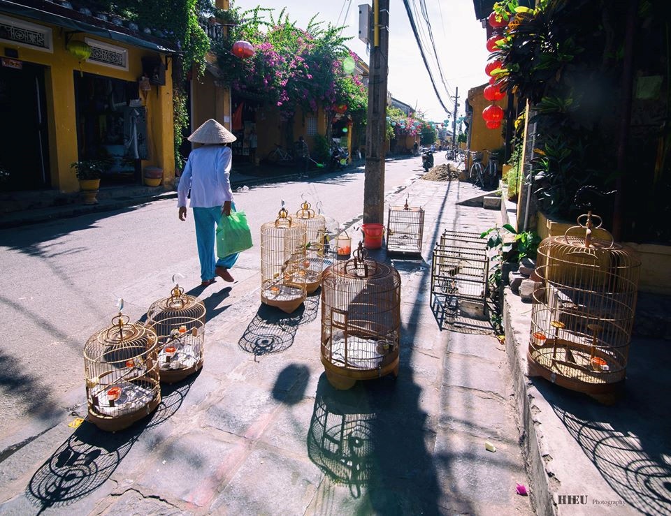 Hội An ảnh 1 Hoi An anh 1