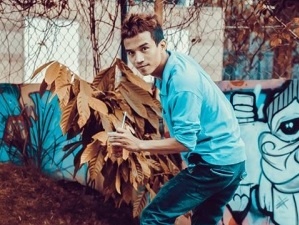 Chuyen nhung 'nghe si' ra truong khong lo that nghiep hinh anh