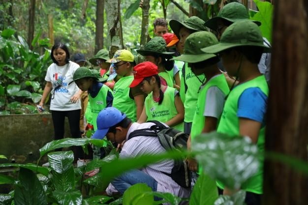Tang cuong thuc hanh tieng Anh cho tre voi cac chuyen da ngoai hinh anh