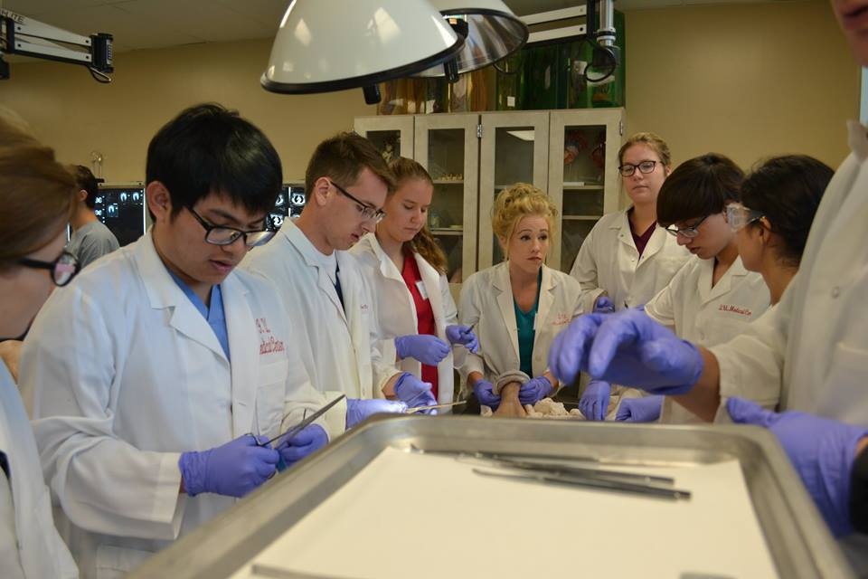 Đại học Tân Tạo ảnh 1 Dai hoc Tan Tao anh 1