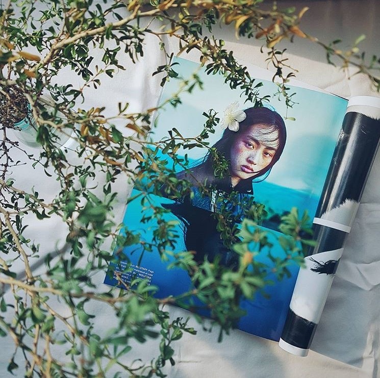 anh dong vo cuc anh 3