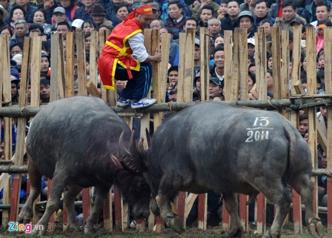 Clear ảnh 3 Clear anh 3