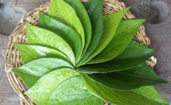 Nhung ly do la trau tot cho phu nu khi cham soc 'co be' hinh anh