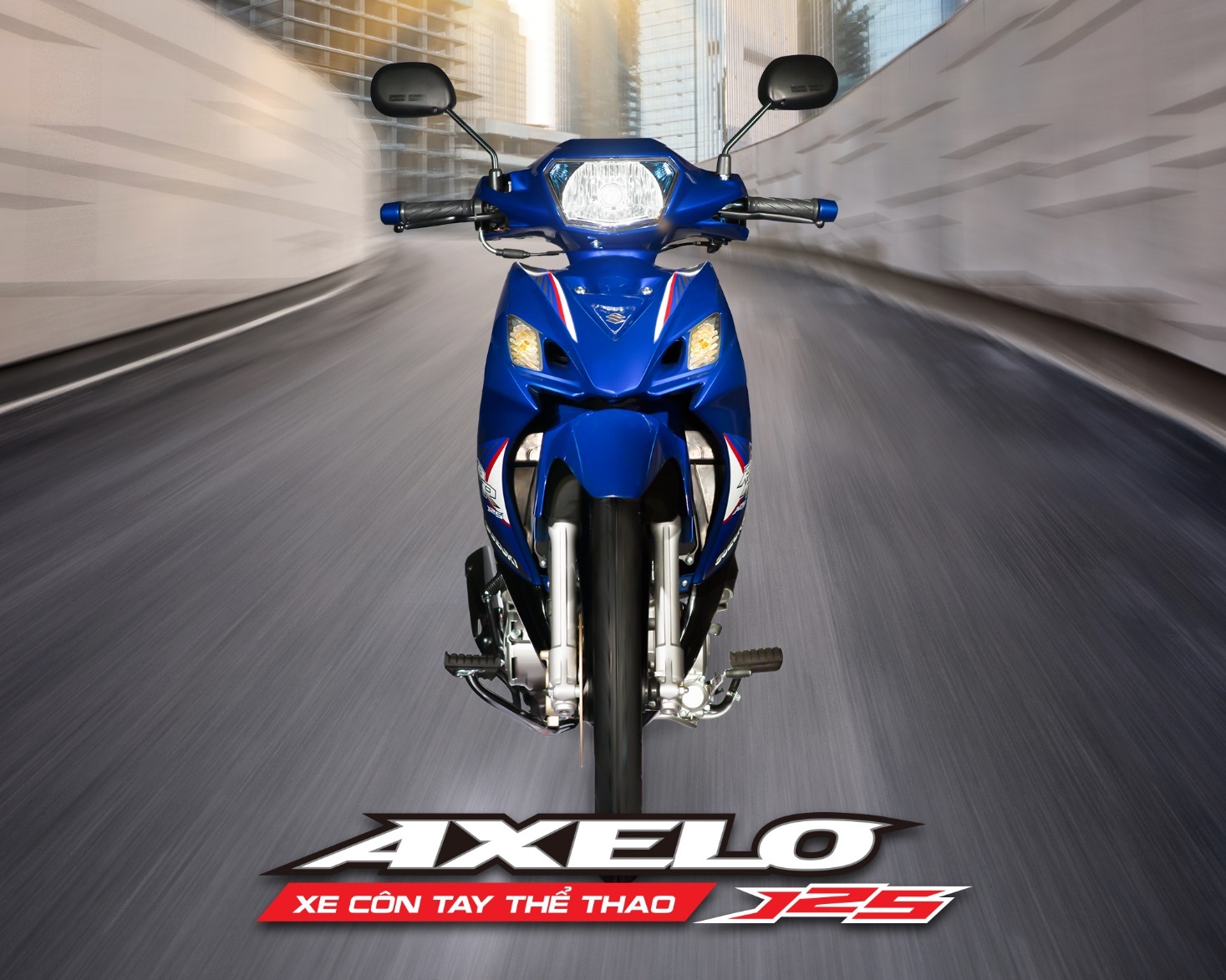 Suzuki ảnh 2 Suzuki anh 2