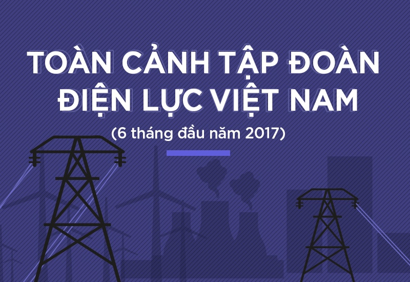 Toan canh Tap doan Dien luc Viet Nam hinh anh