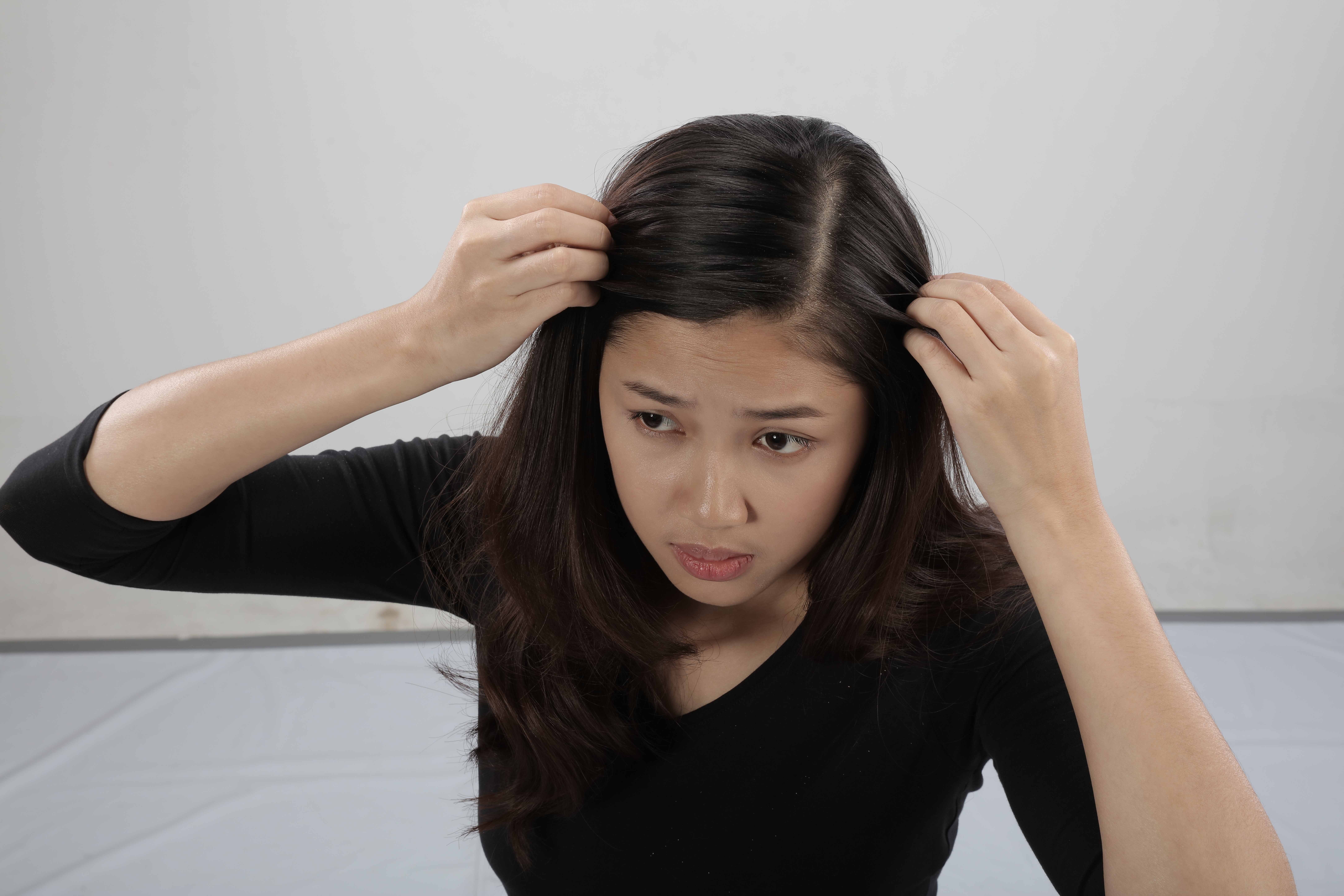 Ly giai tinh trang gau thuong xuat hien vao mua he hinh anh