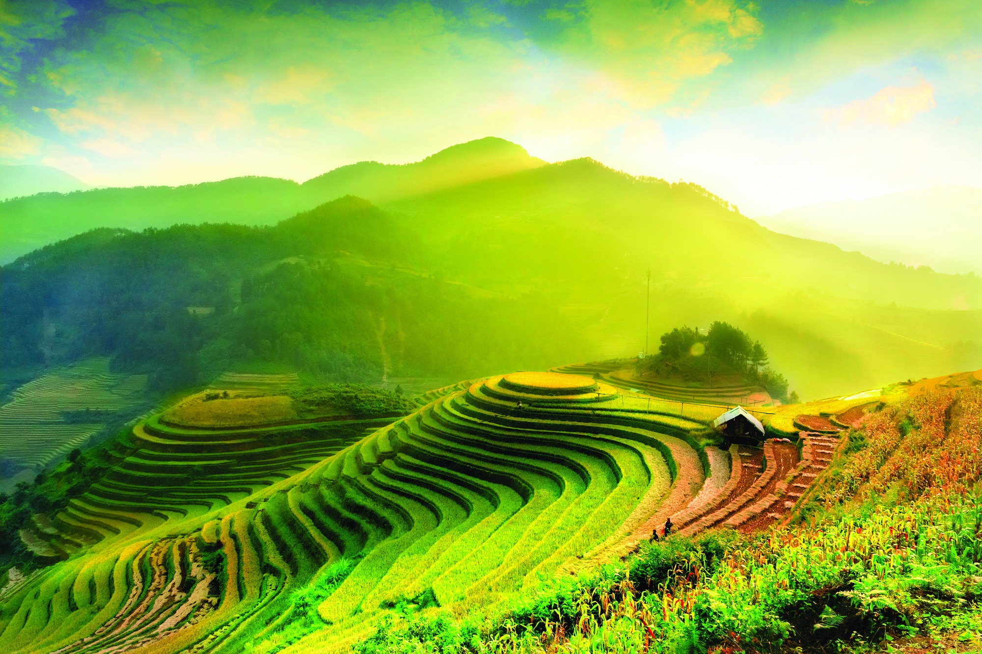 Vietravel ảnh 1 Vietravel anh 1