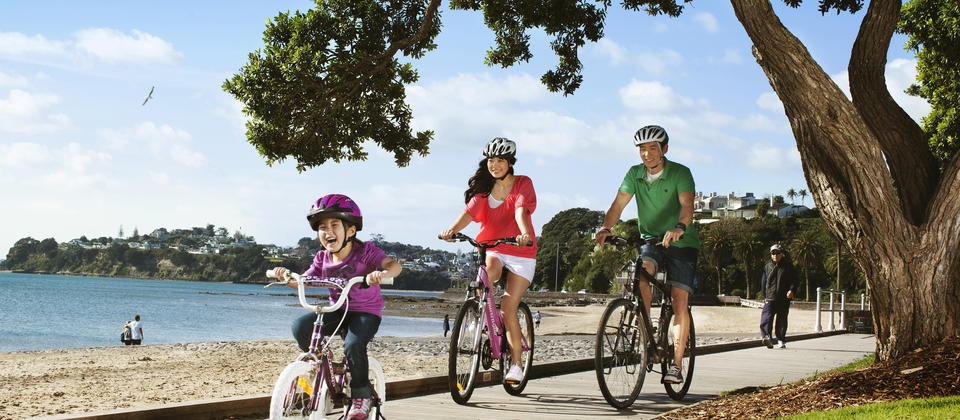 Định cư AZ ảnh 3 Dinh cu AZ anh 3