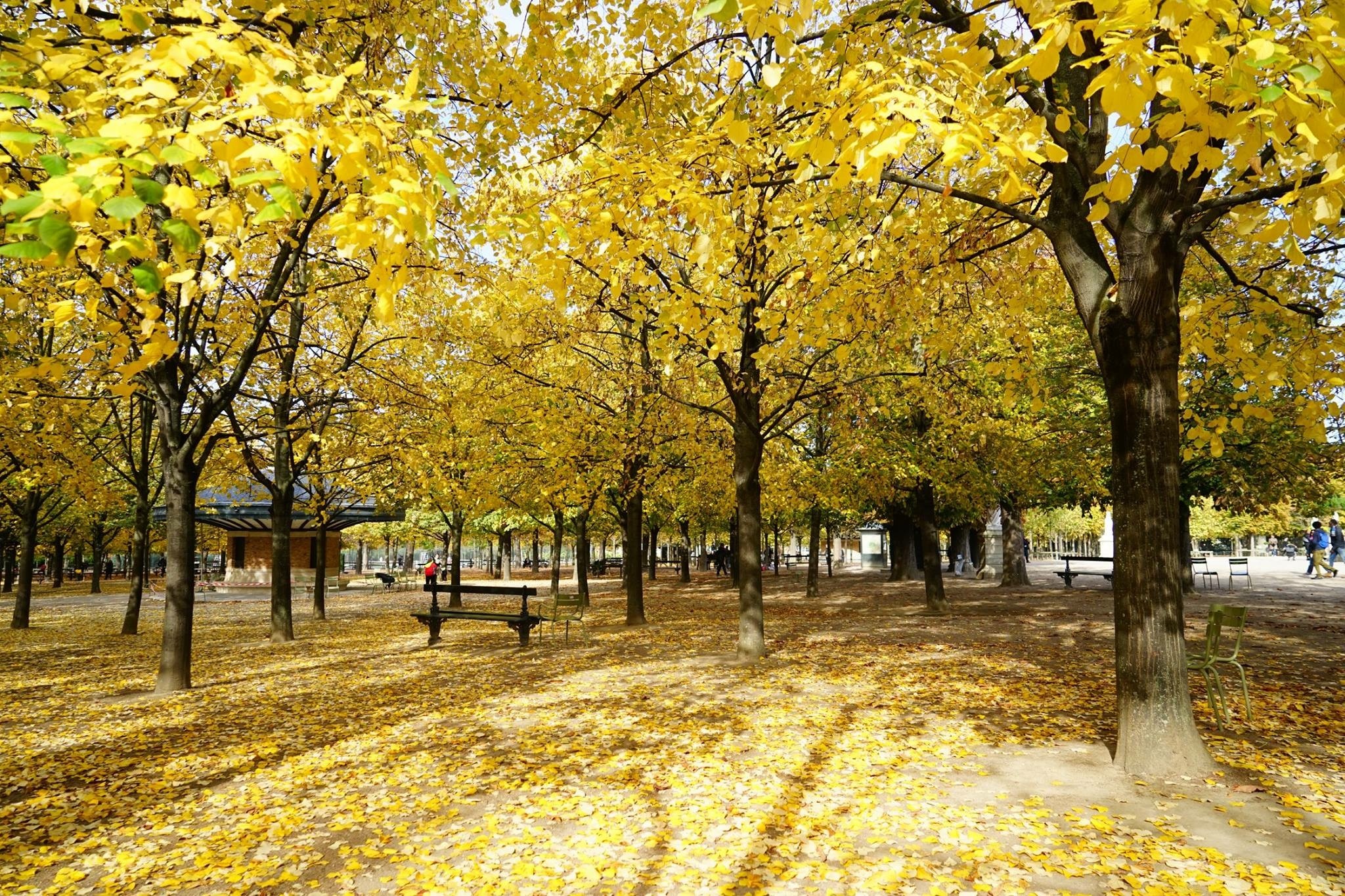 Vietnam Airlines anh 1