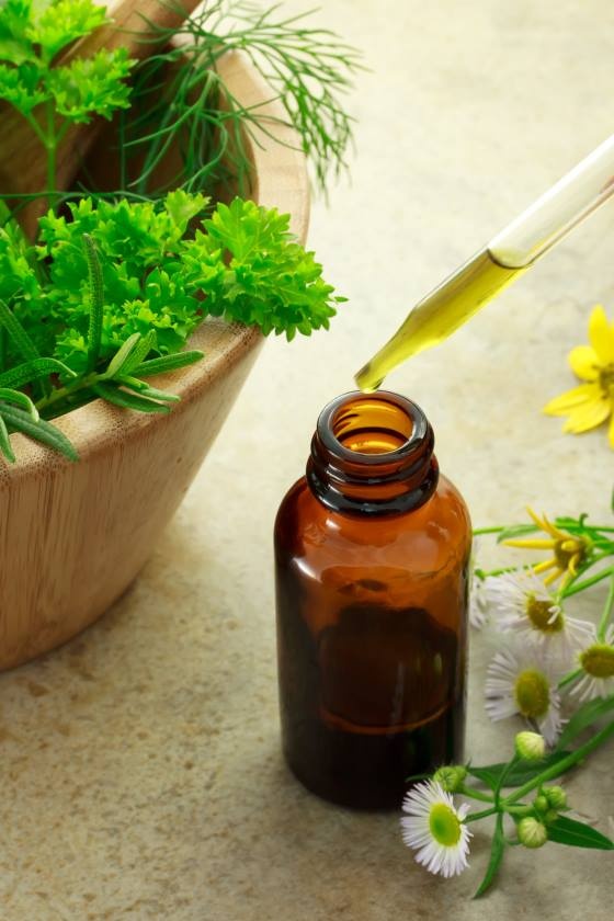 thảo dược châu Âu ảnh 2 thao duoc chau Au anh 2