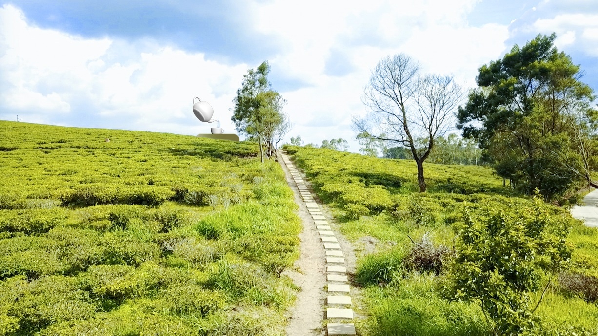 Doi che Cau Dat Farm - dia diem hap dan kho bo qua dip 2/9 hinh anh