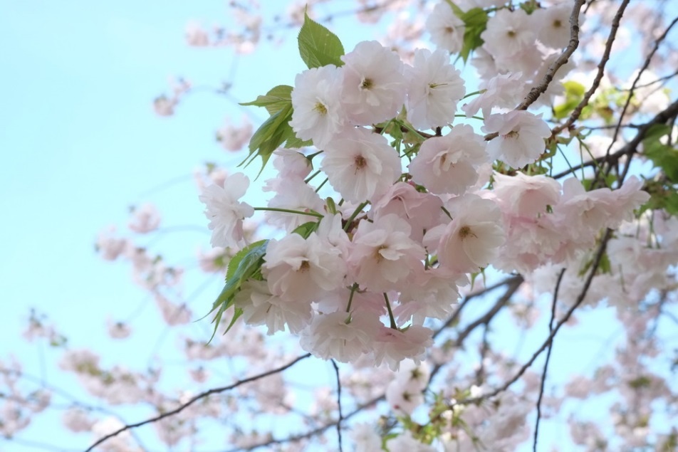 Vietravel ảnh 3 Vietravel anh 3