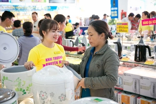 Dien may Xanh tro thanh doi tac kim cuong cua Sunhouse hinh anh