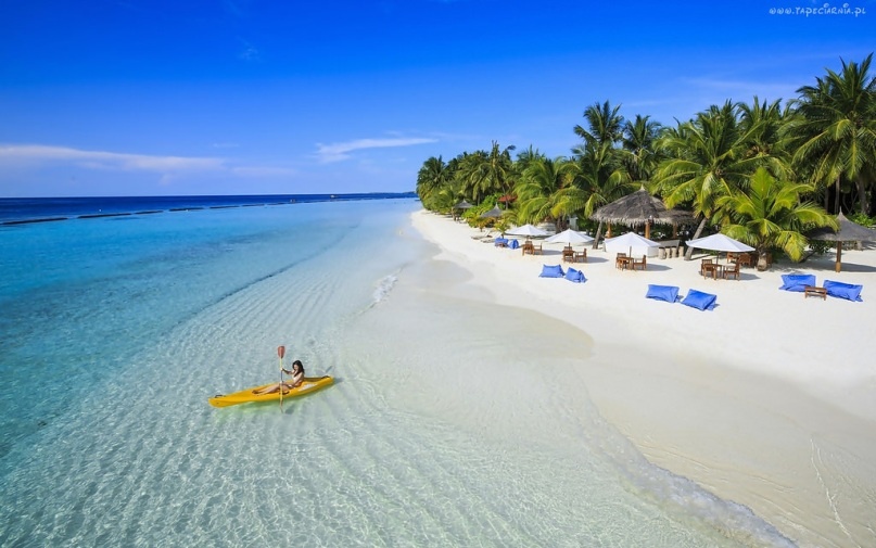 Vietnam Airlines anh 4