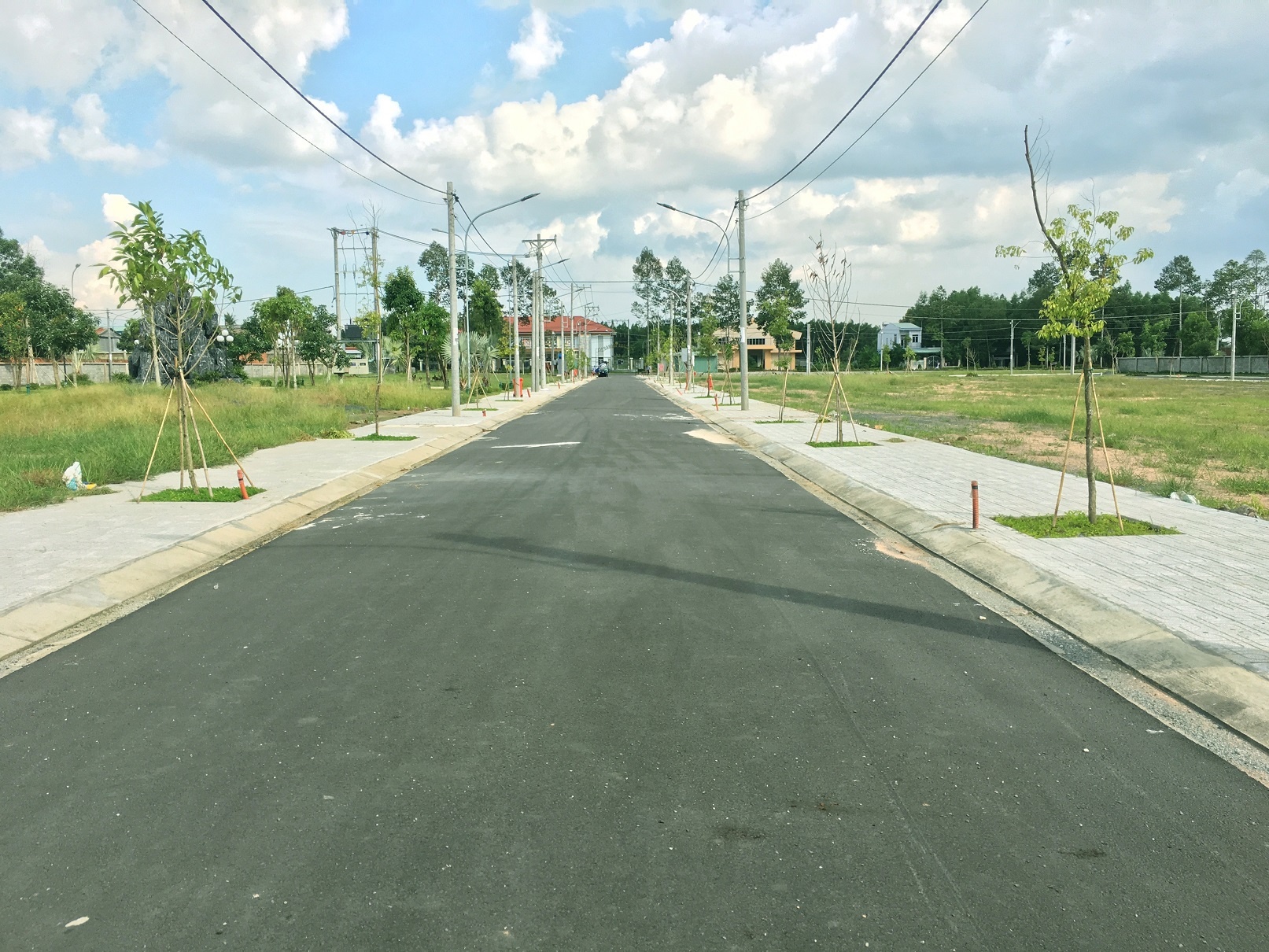 Công ty Đất Nguồn ảnh 4 Cong ty Dat Nguon anh 4