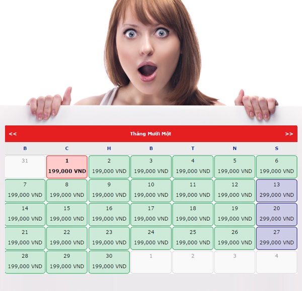 Vietnam Airlines anh 5