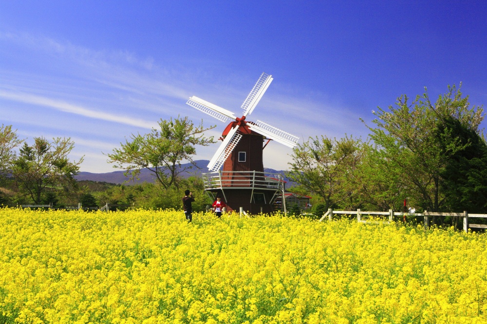 Vietravel ảnh 2 Vietravel anh 2