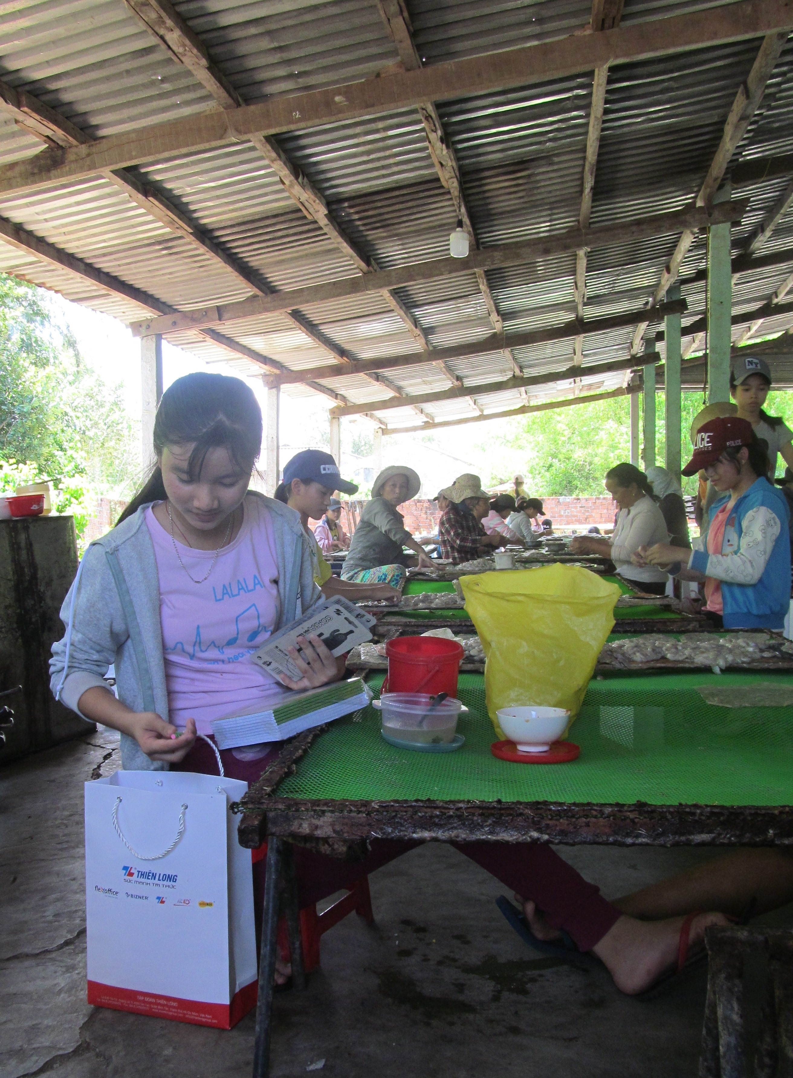 bút bi Thiên Long ảnh 2 but bi Thien Long anh 2