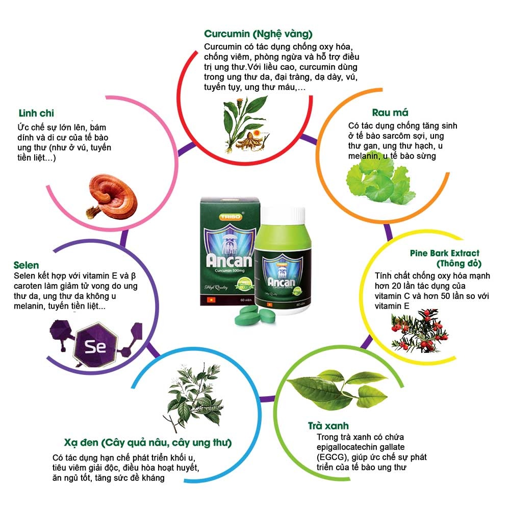 thuc pham chuc nang Ancan anh 2