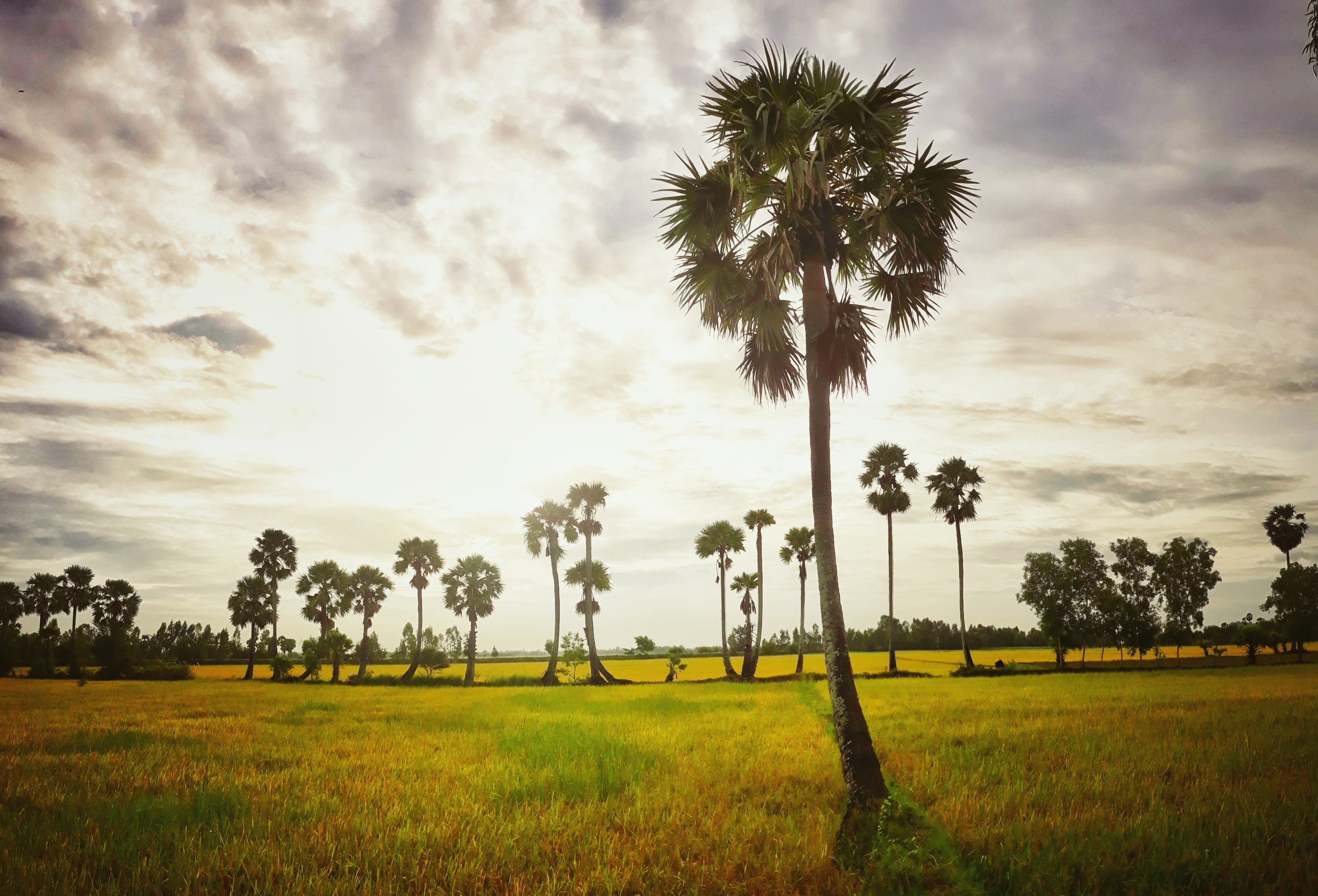 loat anh an tuong chup bang Galaxy J7 Pro anh 3