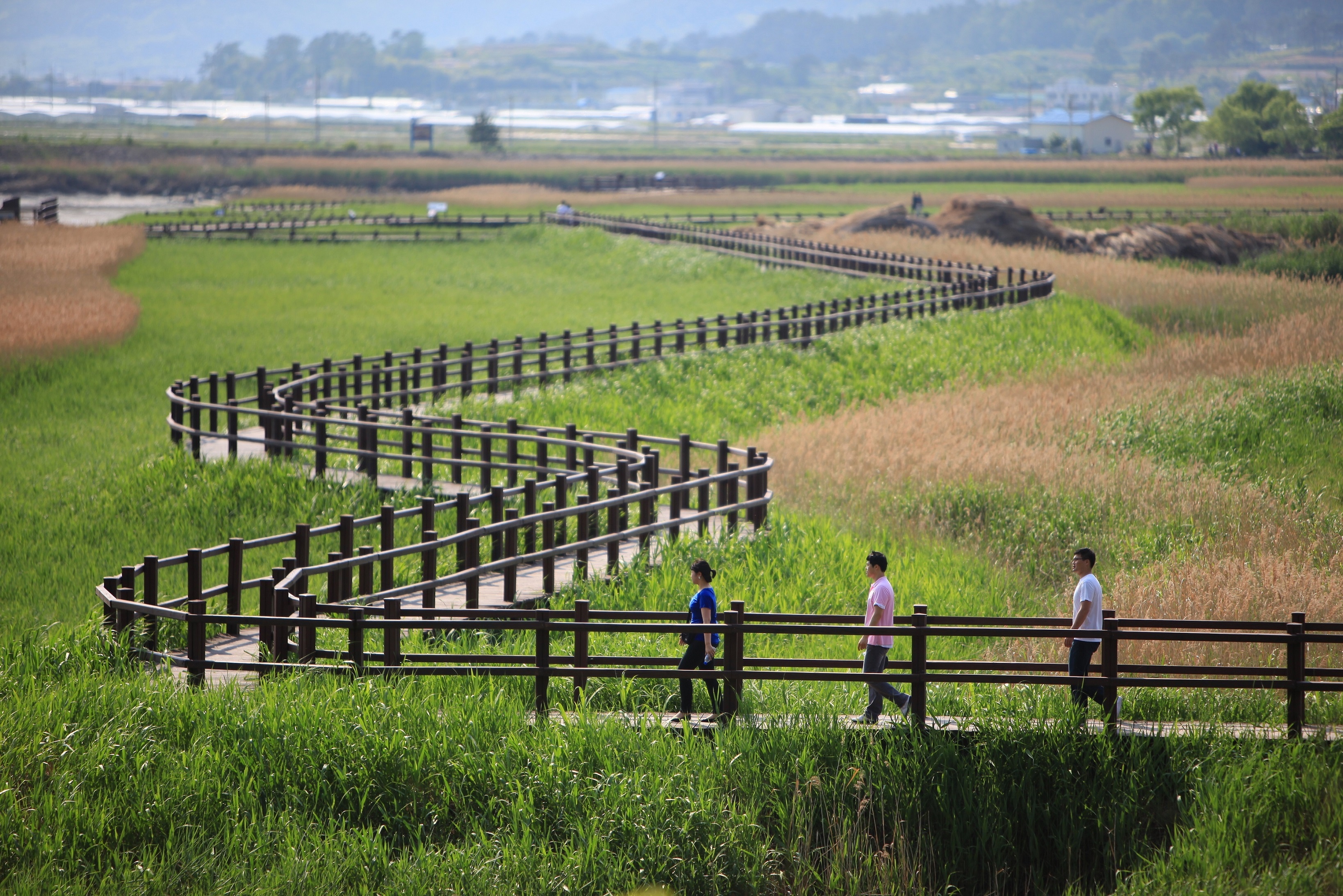Tong lanh su quan Han Quoc anh 6