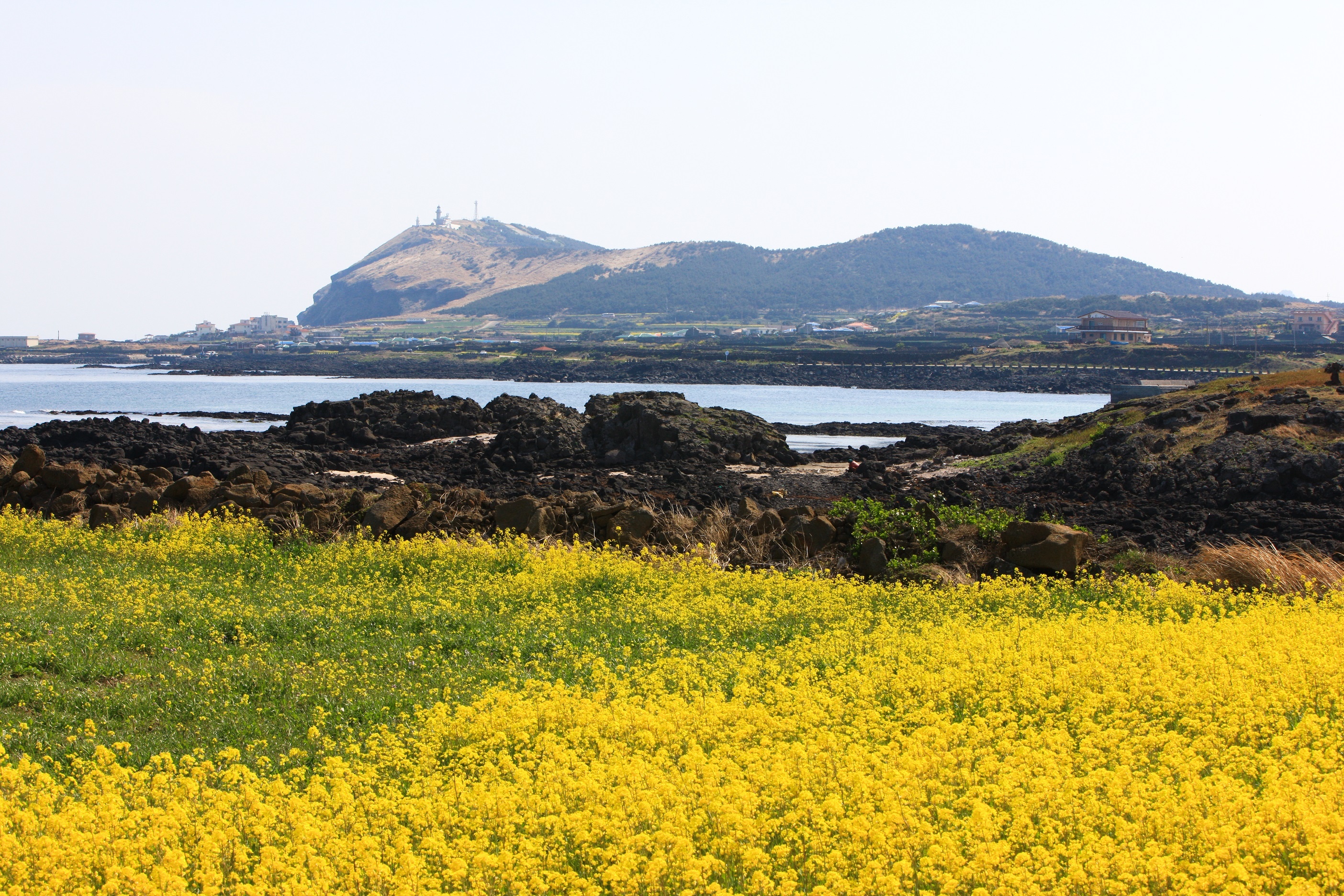 Tong lanh su quan Han Quoc anh 7