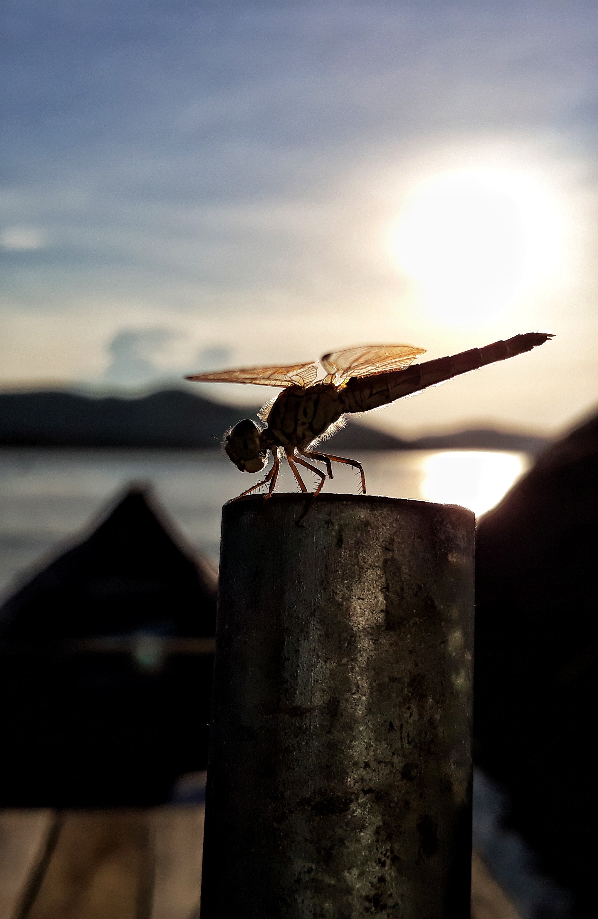 loat anh an tuong chup bang Galaxy J7 Pro anh 4