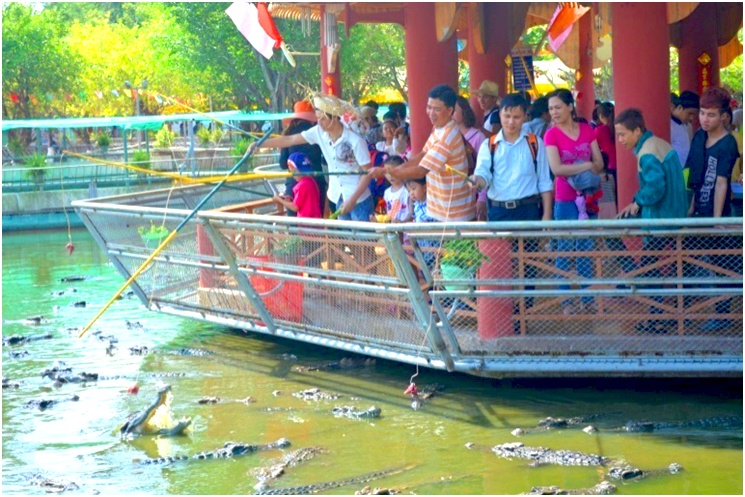 uu dai cho ngay Thu tu vui ve tai Suoi Tien anh 3