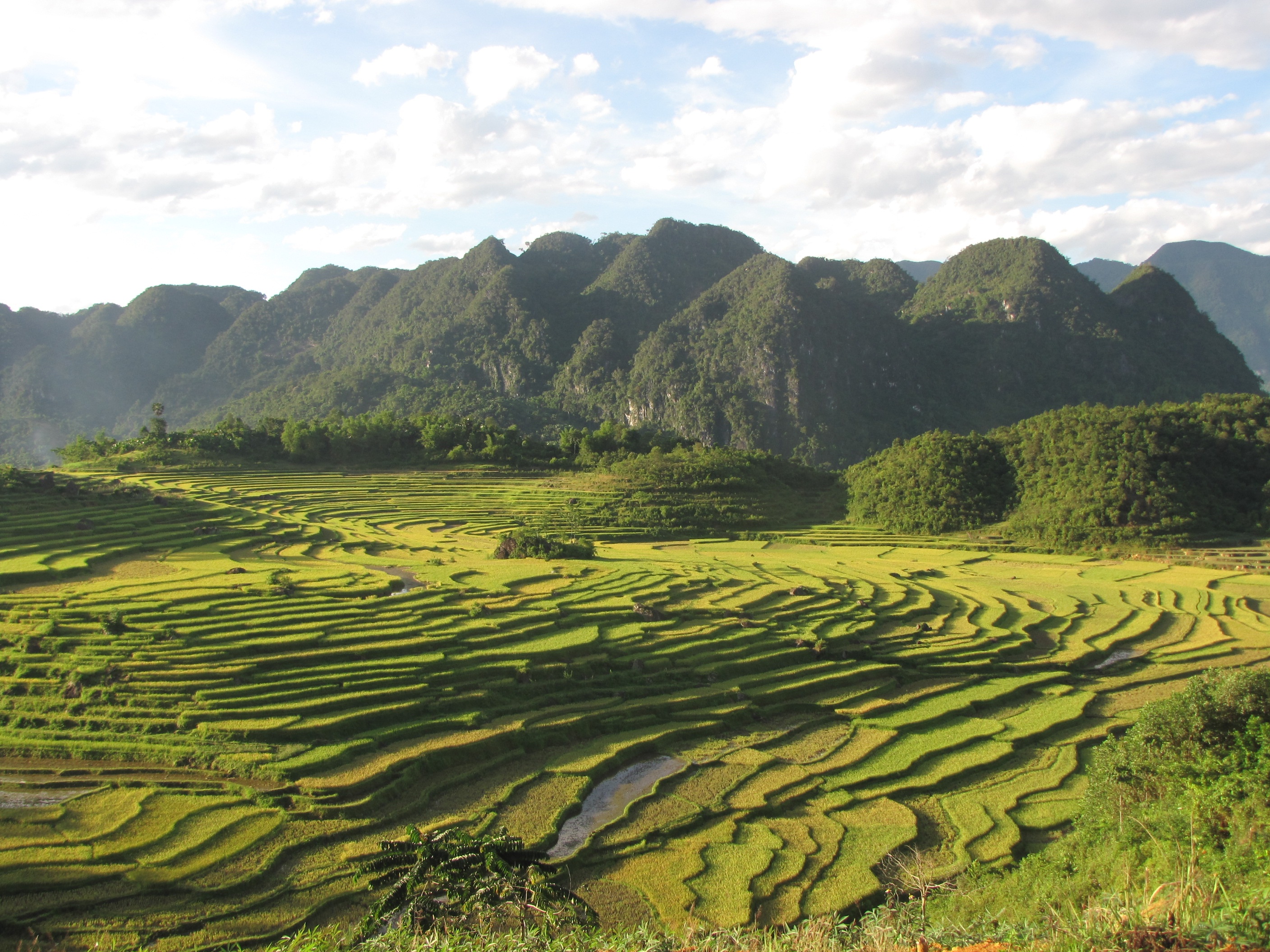 Vietravel Hà Nội  ảnh 2 Vietravel Ha Noi anh 2