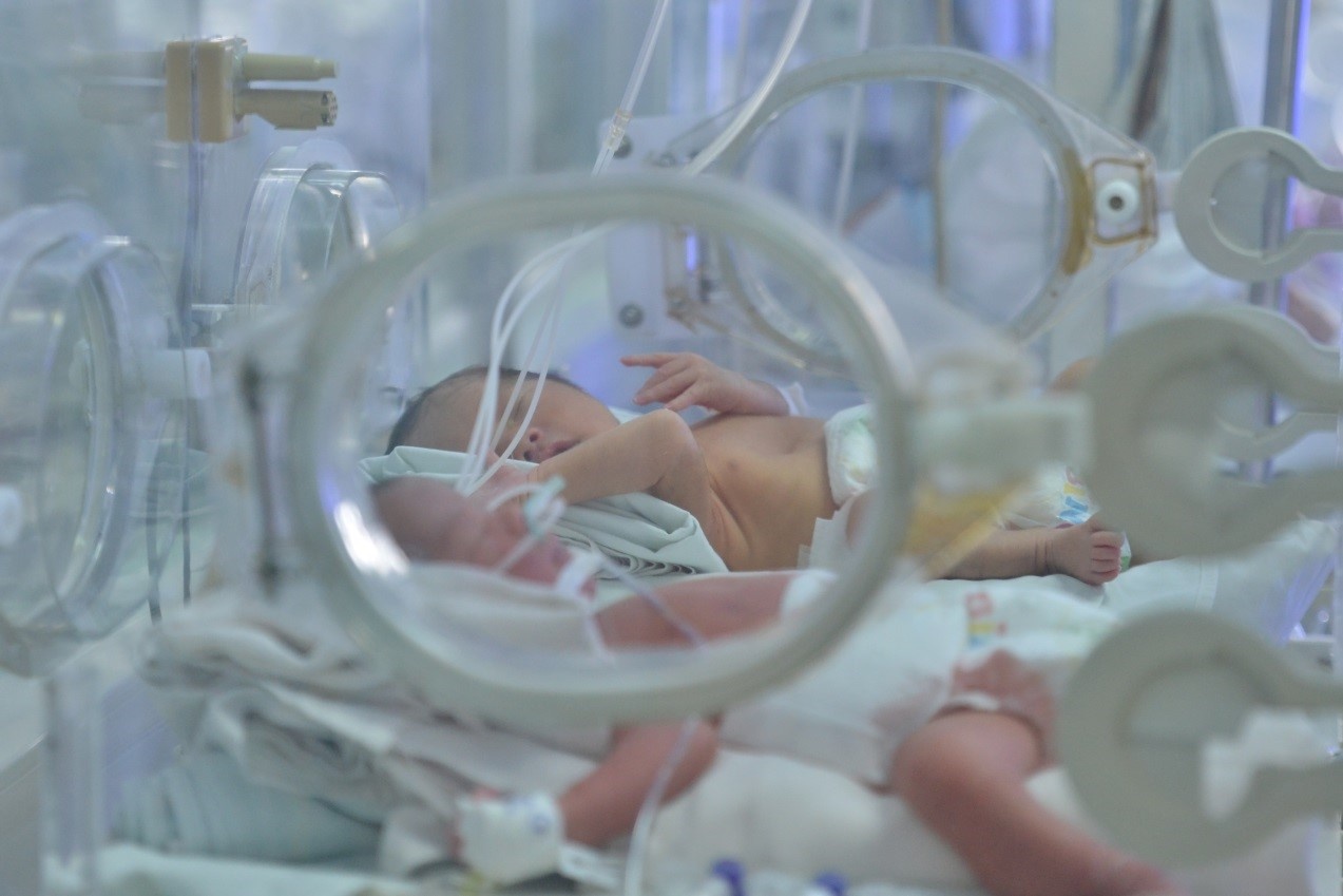 Pampers  ảnh 1 Pampers anh 1