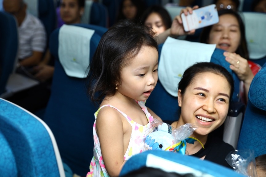 Vietnam Airlines anh 3