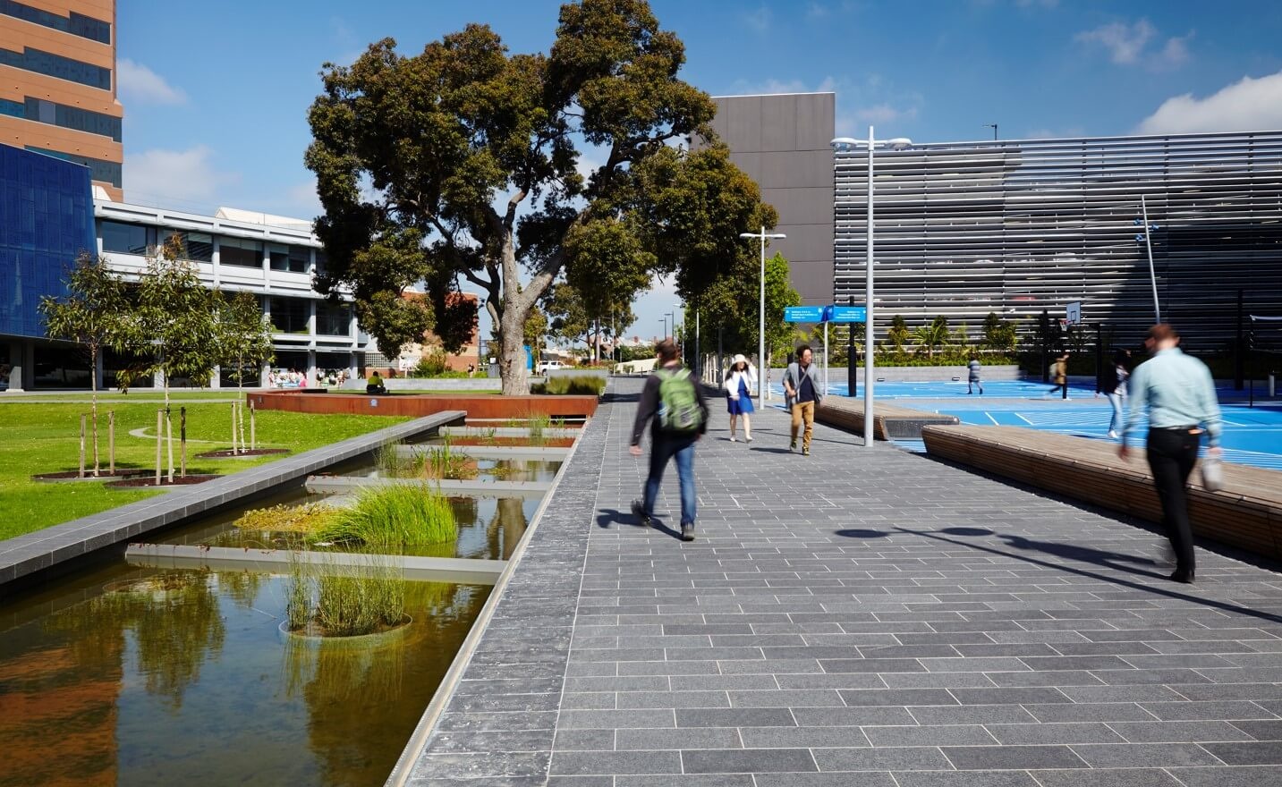 du hoc Duc Anh anh 2