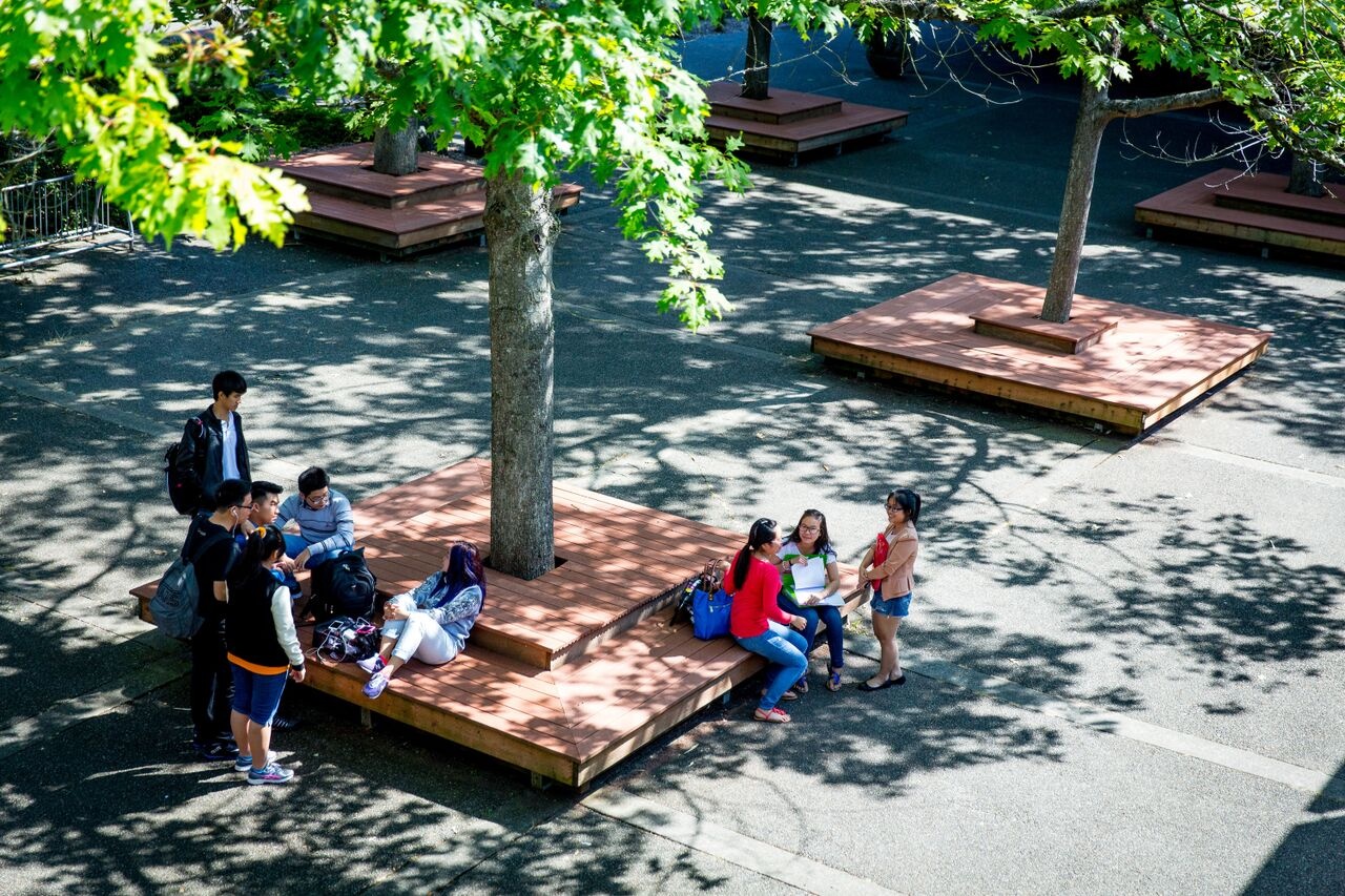 StudyLink ảnh 1 StudyLink anh 1