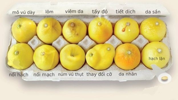 Bệnh viện Đa khoa Quốc tế Thu Cúc ảnh 2 Benh vien Da khoa Quoc te Thu Cuc anh 2