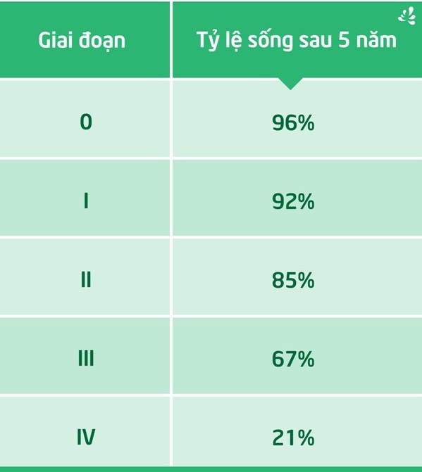 Bệnh viện Đa khoa Quốc tế Thu Cúc ảnh 1 Benh vien Da khoa Quoc te Thu Cuc anh 1