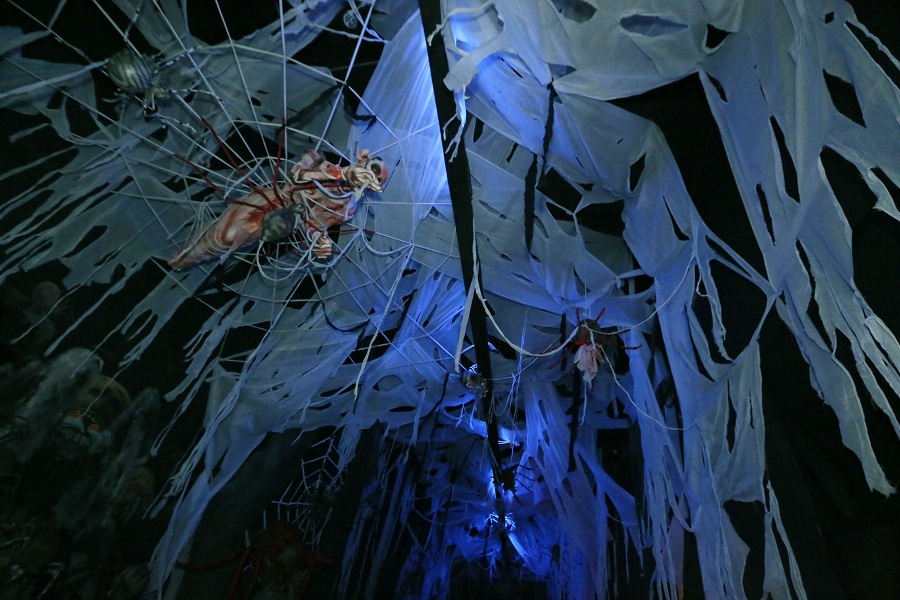 Tap doan Sun Group anh 7