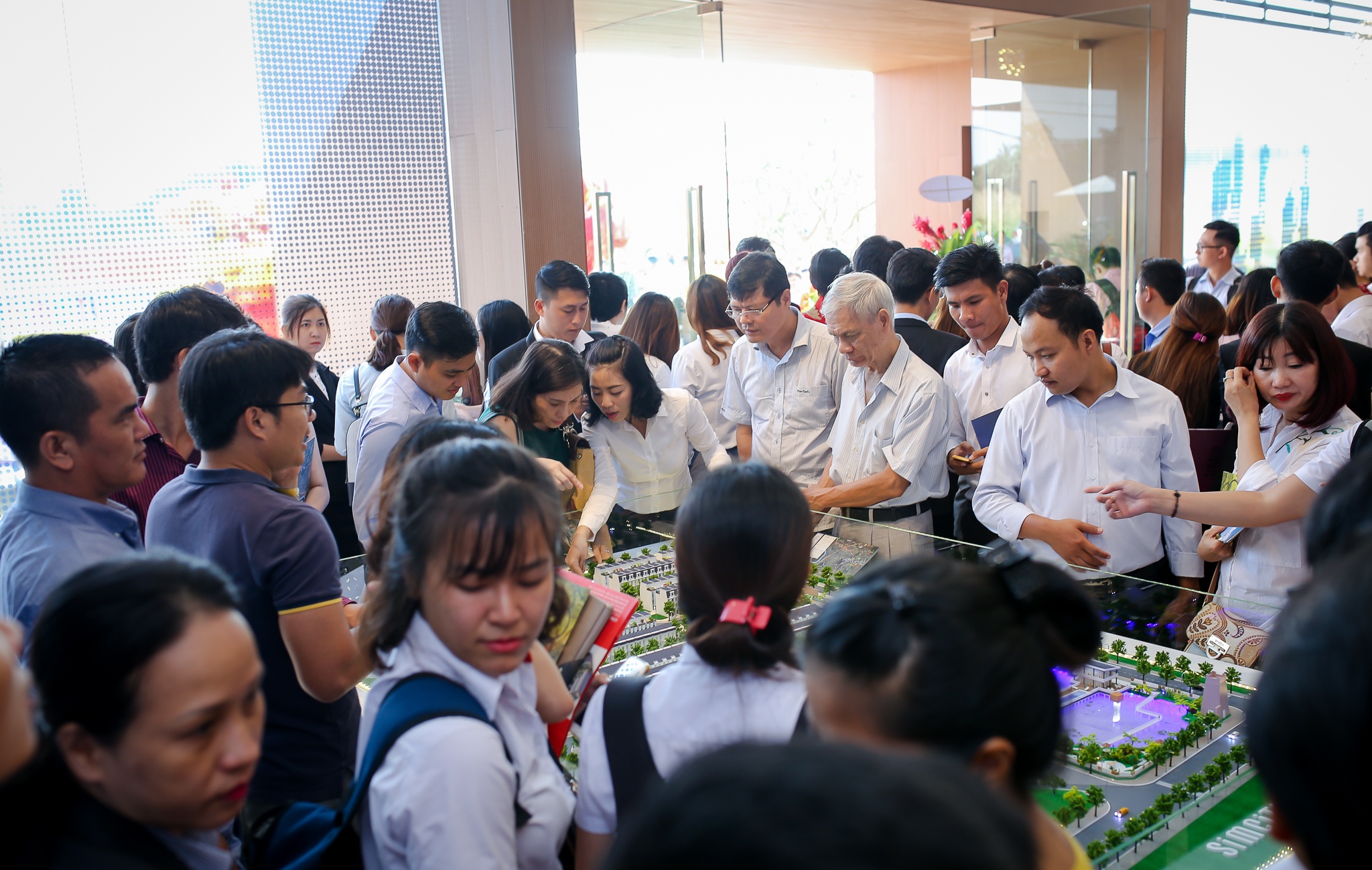 Tap doan Anpha Holdings anh 1