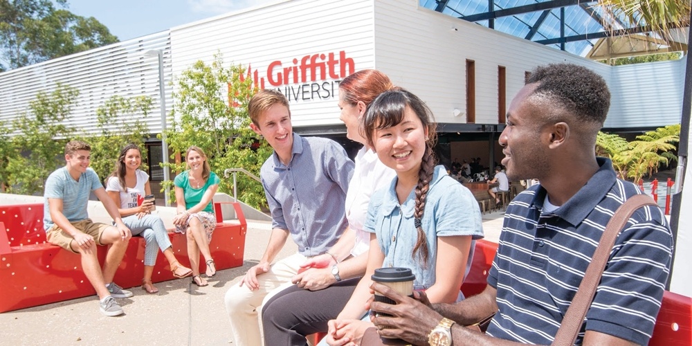 Studylink ảnh 3 Studylink anh 3