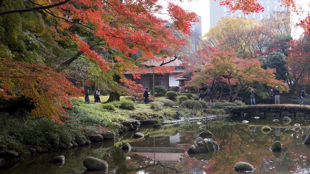 Japan Airlines ảnh 2 Japan Airlines anh 2