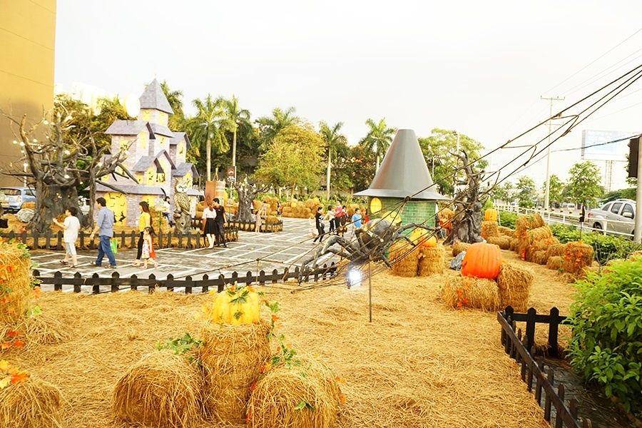 Tham vuon hong, lang phu thuy an tuong tai AEON Mall Binh Duong Canary hinh anh