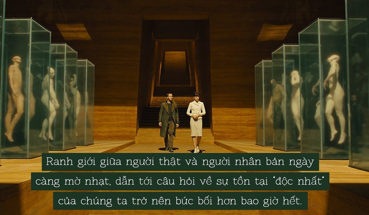 Blade Runner 2049 ảnh 6 Blade Runner 2049 anh 6