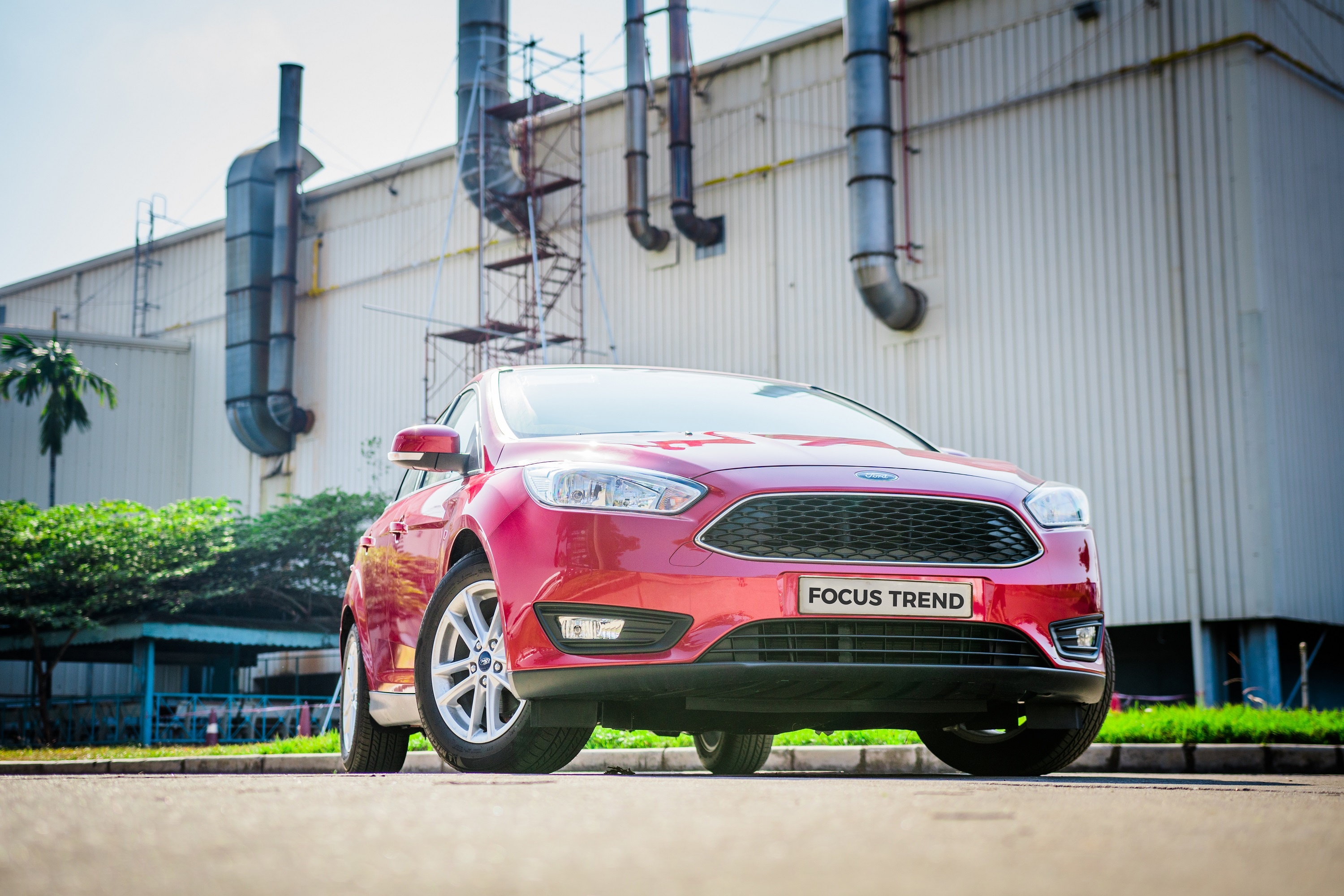 Focus Trend ảnh 3 Focus Trend anh 3