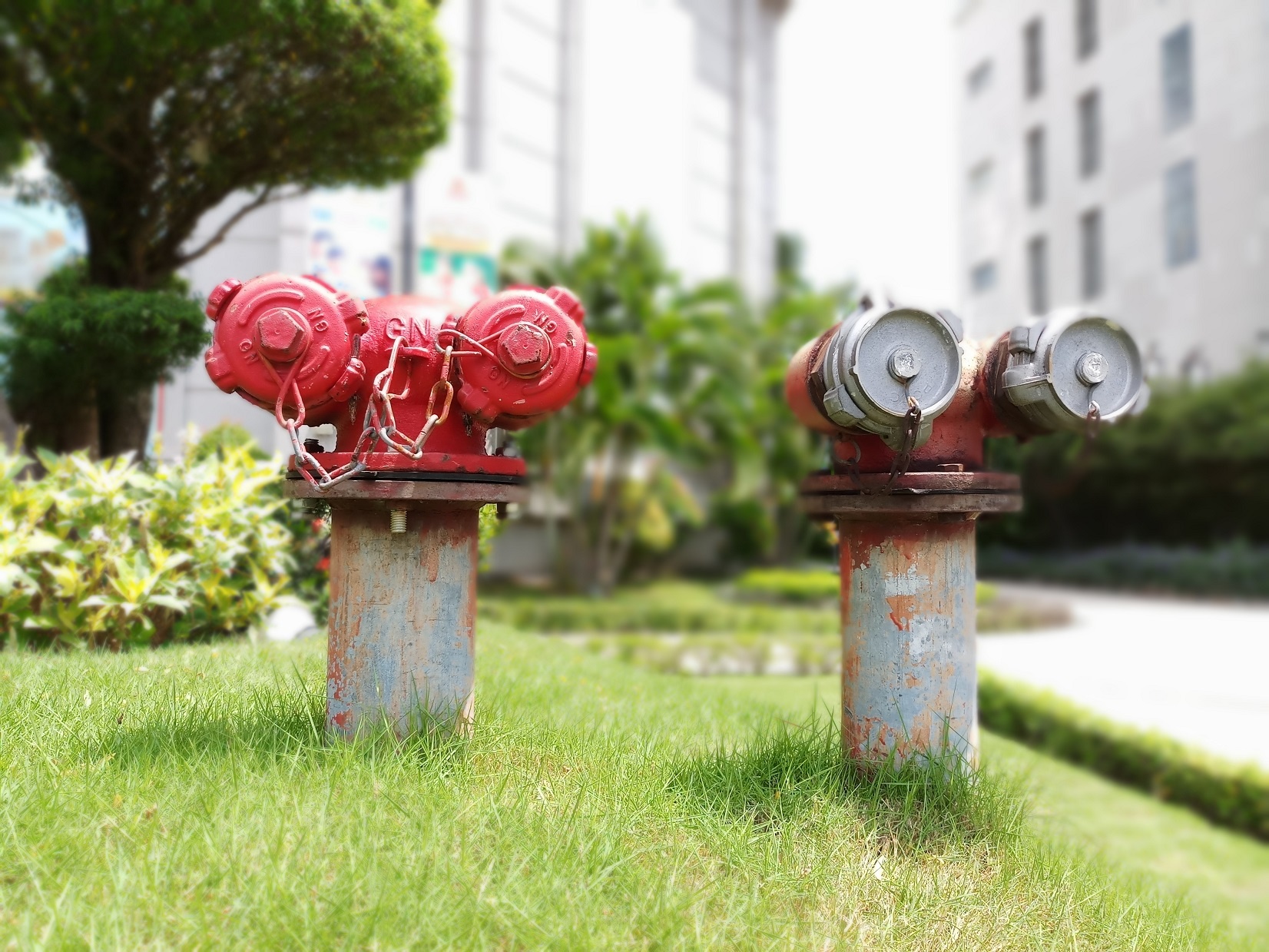 Samsung Galaxy J7+ ảnh 3 Samsung Galaxy J7+ anh 3